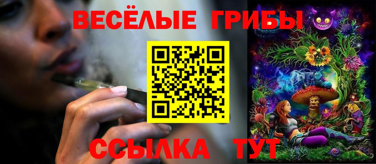 Галлюциногенные грибы Cubensis  Вход с VPN  Киреевск 